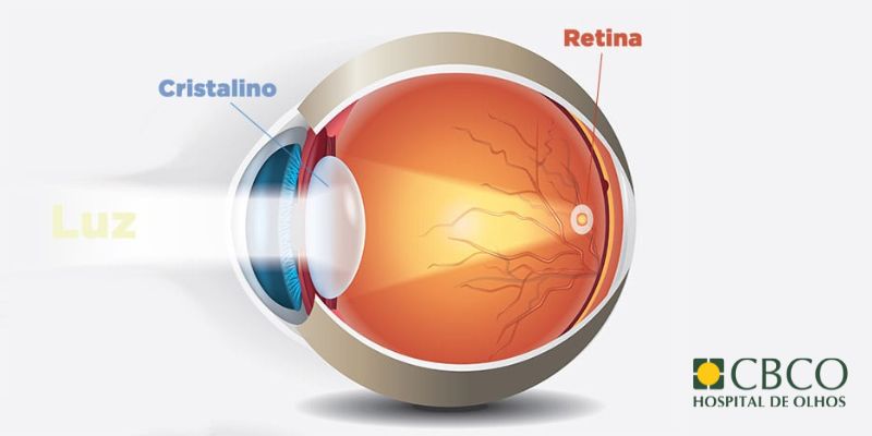 Retina - Hospital de Olhos